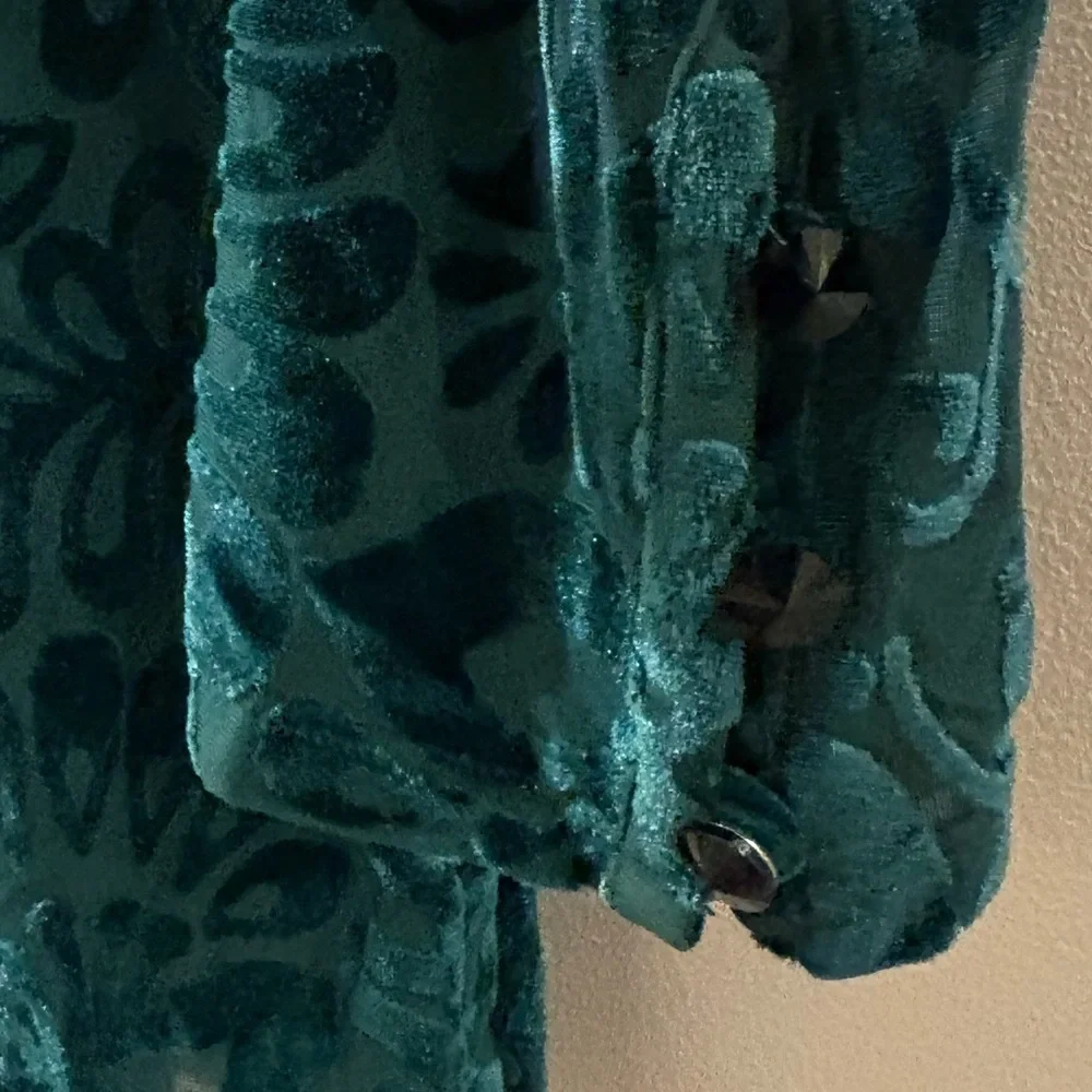 Soft Surroundings Walden Velvet Burnout Turtleneck Top M - Picture 7 of 11